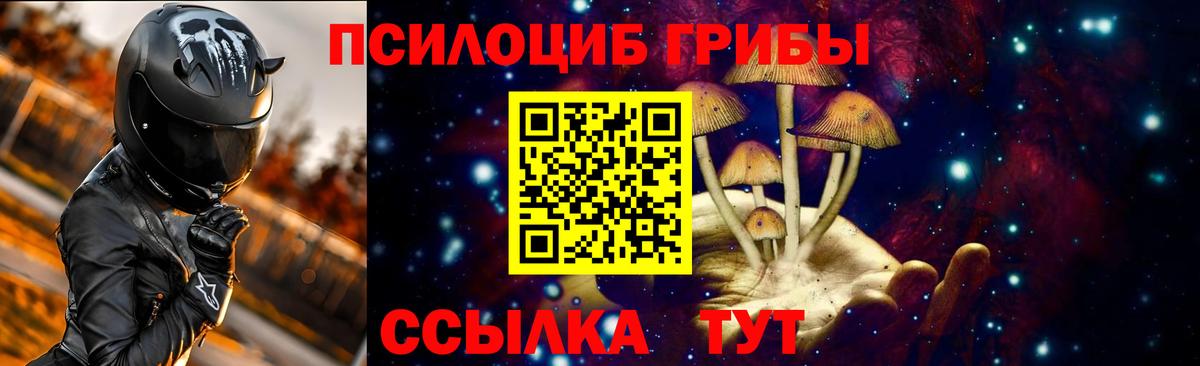 Псилоцибиновые грибы GOLDEN TEACHER  Галлюциногенные грибы Cubensis  Вход с VPN  Усть-Джегута 