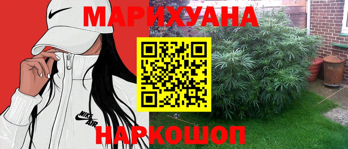 Усть-Джегута  Канабис планчик  Каннабис индика  Каннабис ГИДРОПОН  Вход с VPN  Конопля марихуана 